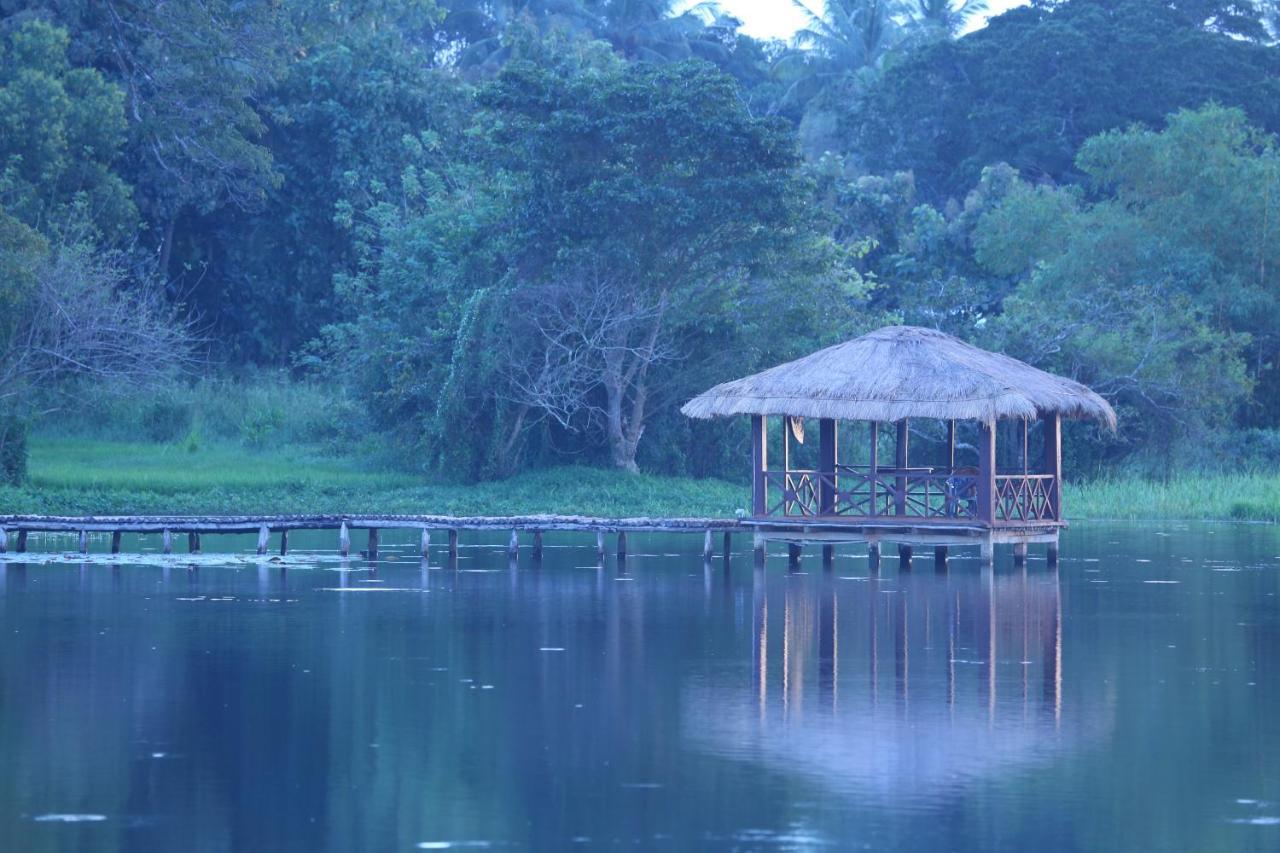 Blue Lake Ridge Maha Oya Exteriér fotografie